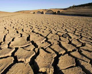 Rede de Municípios para Adaptação Local às Alterações Climáticas reuniu em Ílhavo.