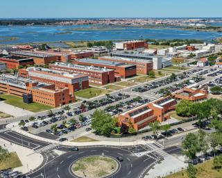 Universidade de Aveiro promove formação para professores.