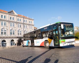 COVID-19: Criado 'Plano Excecional' na Aveiro Bus.