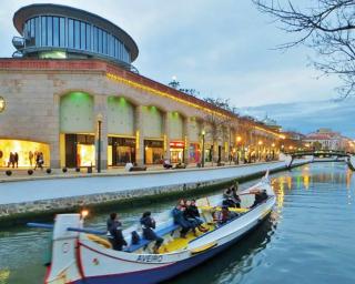 Livro 'Aveiro, cidade sustentável: EduCITY' quer ligar cidadãos ao património sustentável.