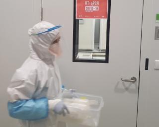 UA massifica testes à Covid-19 combinando saliva, testes e plataforma digital.