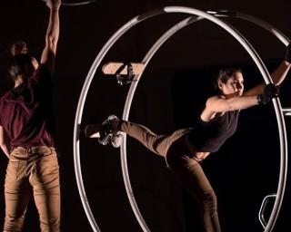 Festival Leme: 'Novo Circo' com espectáculos nos próximos dias.