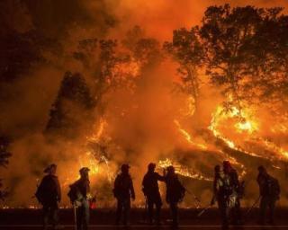 Risco máximo de incêndio em 40 Concelhos devido ao tempo quente.