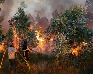 Incêndio de Albergaria está controlado.