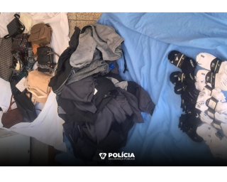 PSP de Ovar apreendeu artigos contrafeitos.