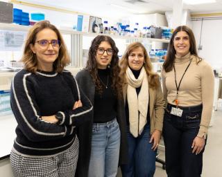 UA desenvolve novo método de diagnóstico para a infertilidade masculina.