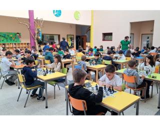 São João da Madeira recebeu o III Torneio de Xadrez 