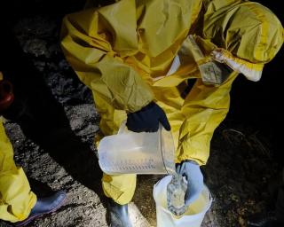 gnr identifica suspeitos de descargas ilegais na murtosa