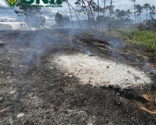 gnr da murtosa deteve idoso por queimada não autorizada