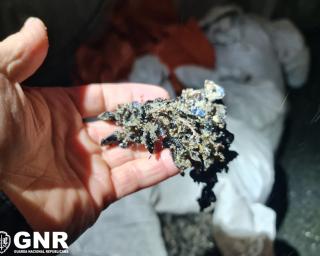 GNR identificou tres pessoas por caputa de mexilhao