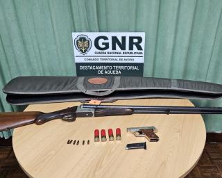 gnr apreende armas em investigacao sobre violencia domestica