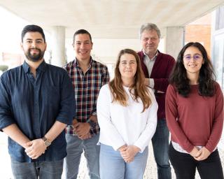 Universidade de Aveiro (UA) desenvolveu microagulhas microscópicas inovadoras que podem funcionar como plataformas para o transporte e entrega de células