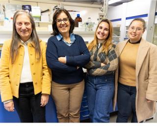 Estudo UA alerta para os efeitos de metais do grupo da platina em organismos marinhos