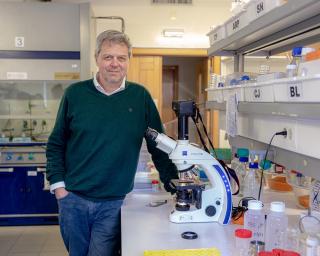 Dez milhões para estudar células arquitetas de biomateriais.