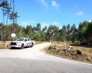 Aveiro investe na melhoria da rede viária florestal