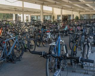 “Ílhavo quer continuar a ser um território onde a bicicleta tenha um papel relevante na mobilidade quotidiana”.
