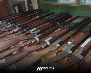 psp apreende armas em armeiro da mealhada