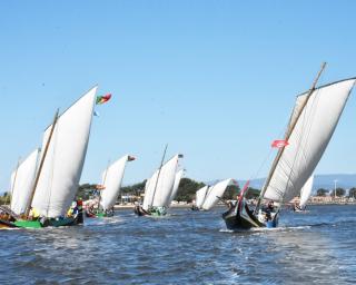 festa do emigrante promove regata de moliceiros