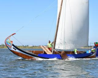 marco silva vence regata de moliceiros