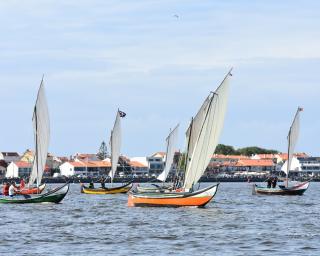 regata de bateiras a vela no sao paio