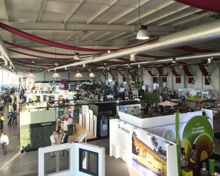 expobairrada abre portas no espaco inovacao