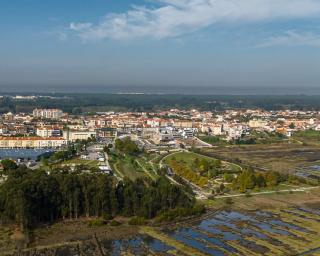 vagos aprova atualização das normas de funcionamento da componente de Apoio à Família 