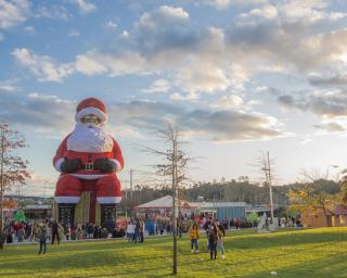 Águeda: Programa de Natal abre no próximo sábado.