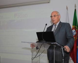 Aveiro: Diáspora ao serviço da economia.