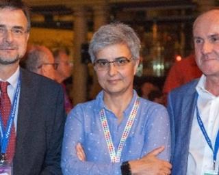 Docente da UA, Amparo Faustino, lidera sociedade europeia de fotobiologia.