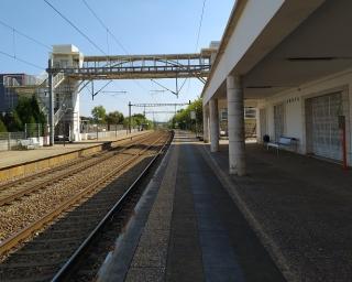 Anadia: Autarca recusa novo traçado ferroviário para a alta velocidade.