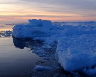 UA integra consórcio europeu que vai estudar a restauração dos ecossistemas marinhos.