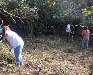 ASPEA Aveiro envolveu 11 jovens voluntários em atividades de proteção das florestas.