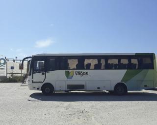 Vagos. Autocarros gratuitos asseguram ligação às praias do Areão, Labrego e Vagueira.