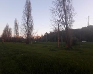 Aveiro apresenta projeto base de recuperação da bacia hidrográfica da Ribeira de Vilar.