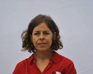 Verdes em campanha nas praias.