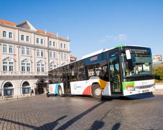 PCP descontente com setor dos transportes em tempo de pandemia.