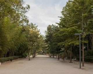 Aveiro: Parque da cidade recebe corta mato escolar.