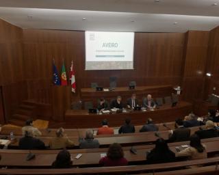 Aveiro coloca cultura como pilar de desenvolvimento estratégico.