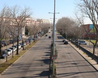 Aveiro: PS sugere modernização da avenida da Universidade.