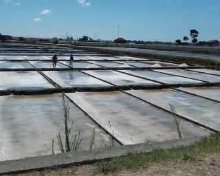Aveiro: Estrada dique vai para projeto.