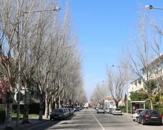 Aveiro: Executivo aprova abertura de concurso para a requalificação da Avenida 25 de Abril.