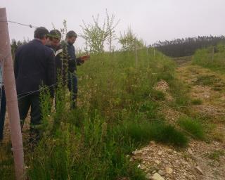 Sever: “Bagas de Portugal” convida produtores de pequenos frutos para reflexão sobre a água como recurso estratégico.