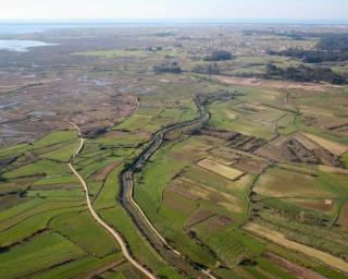 Ministra da Agricultura visitou Baixo Vouga Lagunar.