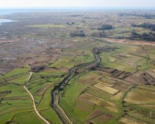 Exploração agrícola intensiva do Baixo Vouga é o principal risco do projeto de defesa primário. 