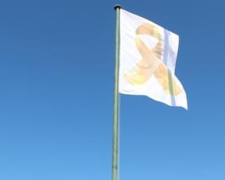 Aveiro: Autarquia hasteia bandeira da campanha Setembro Dourado.