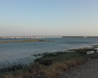 Ílhavo: Escolas envolvidas em projeto municipal de vela.