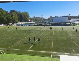 beira mar perde no terreno da florgrade