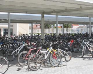 Associação pela Mobilidade Urbana quer conhecer planos de Aveiro e Ílhavo para a bicicleta.