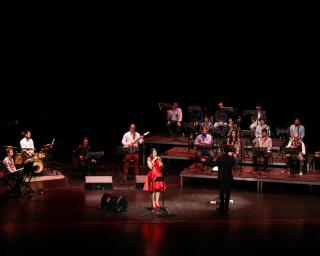 Oliveira do Bairro: Festas dos Músicos já começou.