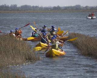 Passeio pelas Ribeiras de Veiros, a bordo de um kayak, vai juntar 275 pessoas.